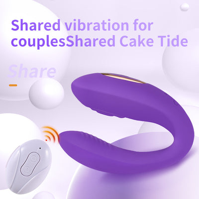 Wireless Remote Control 10-Frequency Strong Vibration